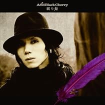 Acid Black Cherry　アクリルマグネット　眠り姫　シークレット Acid Black Cherry 眠り姫 シークレット アクリルマグネット｜Yahoo